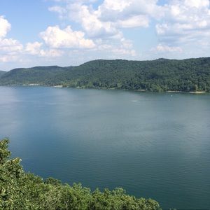 Meet your Posher, Tanner